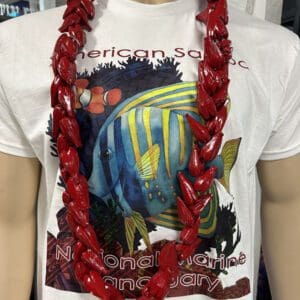 Shirt with fish design and red necklace.