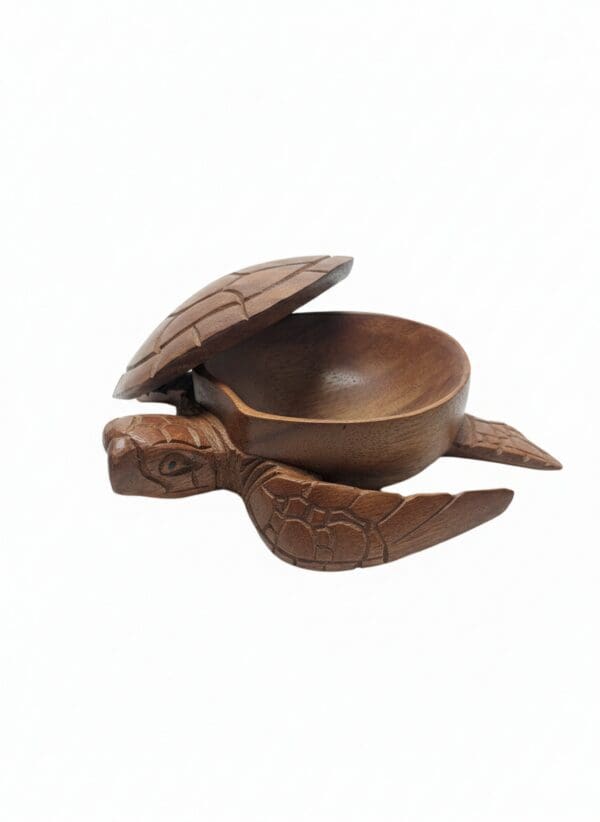 TURTLE JEWELRY BOX | j-Len T's